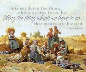 [likingthething[11].jpg]