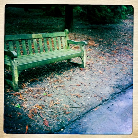 [February - A park bench[2].jpg]