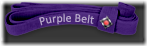 purple_belt_icon