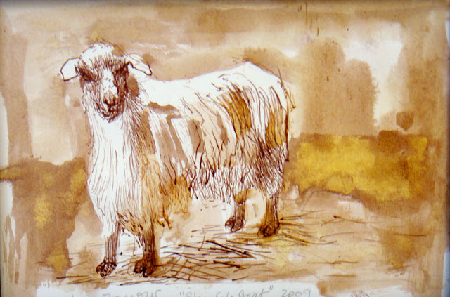 Goat Nr31