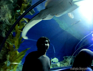 aquaria 133