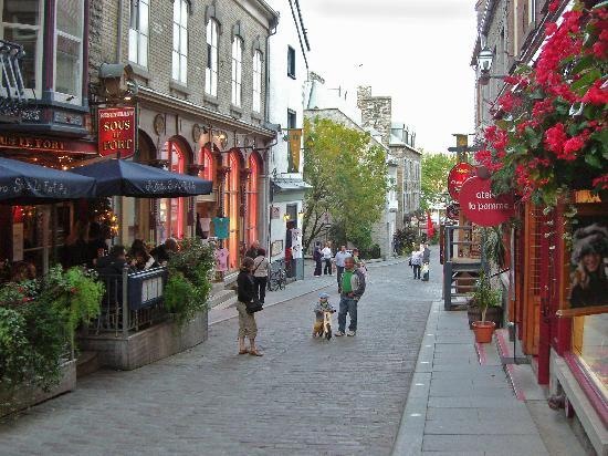 [small-shops-everywhere[2].jpg]