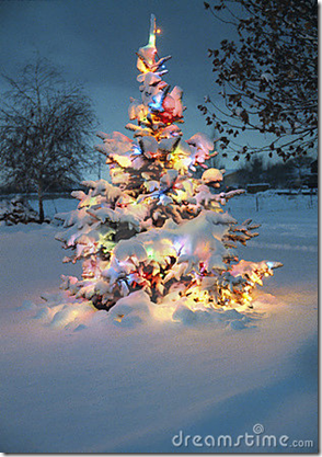 kerstboom in sneeuw