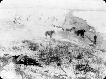 Wounded_Knee_dead_and_horses