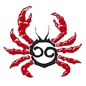 CancerLiveWallpaper logo