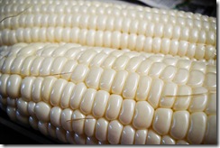 FoodTextureWeb