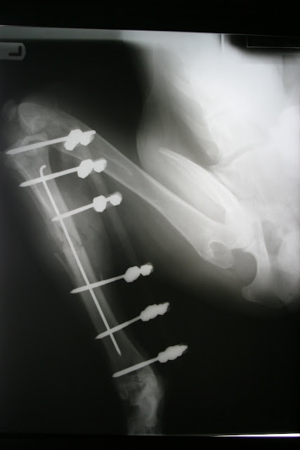 XRay