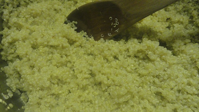 [quinoa close[3].jpg]