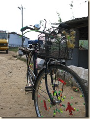 IMG_1730 - VL colorful bike