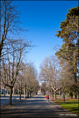 Le parc des bastions au coeur de la ville de Genève