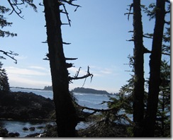 ucluelet 007