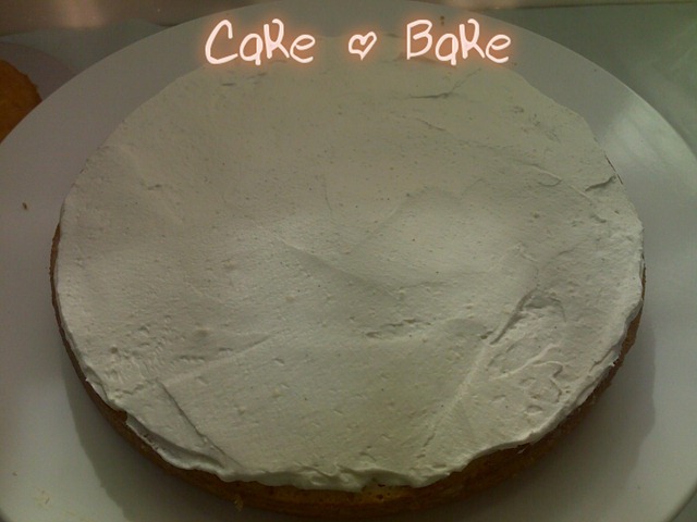 [29112010983[3].jpg]