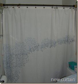 new shower curtain