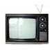 1980s TV Trivia