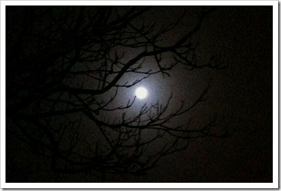 Blue Moon. November 20, 2010