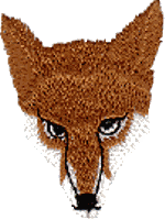 fox head.DSL679