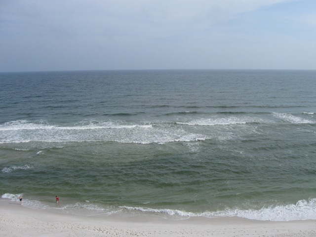 [gulf shores may 2010 005[11].jpg]