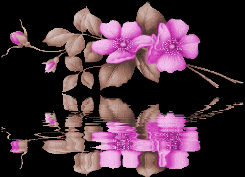 linda%20violeta%20na%20agua.gif