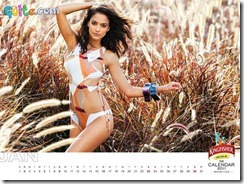 Kingfisher Calendar 2011_1
