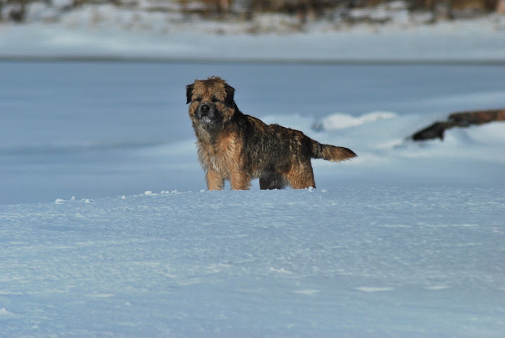 DSC_2956.JPG