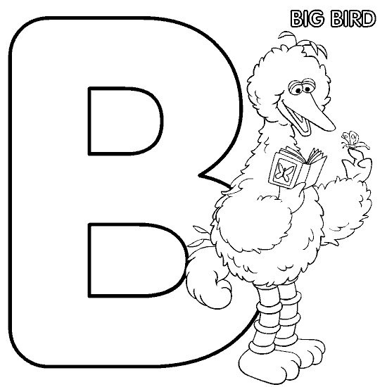 [b_bigbird[8].jpg]
