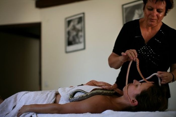 [snake_massage_01[2].jpg]