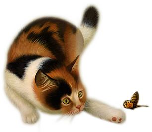 LARAH~cat~.png