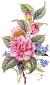 dsc1.png