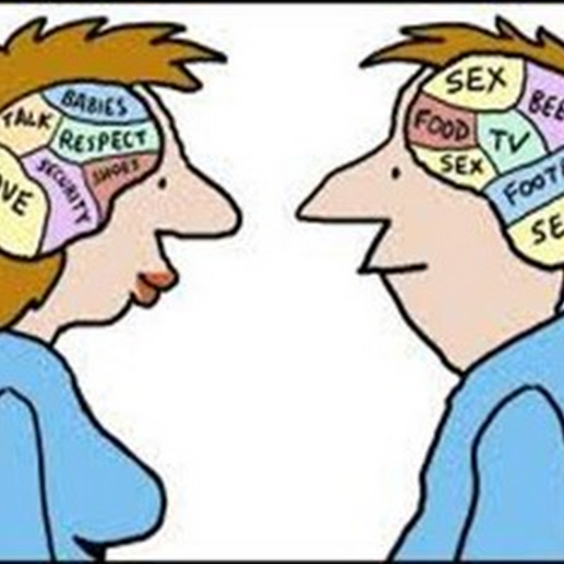 Различия между мужским и женским мозгом