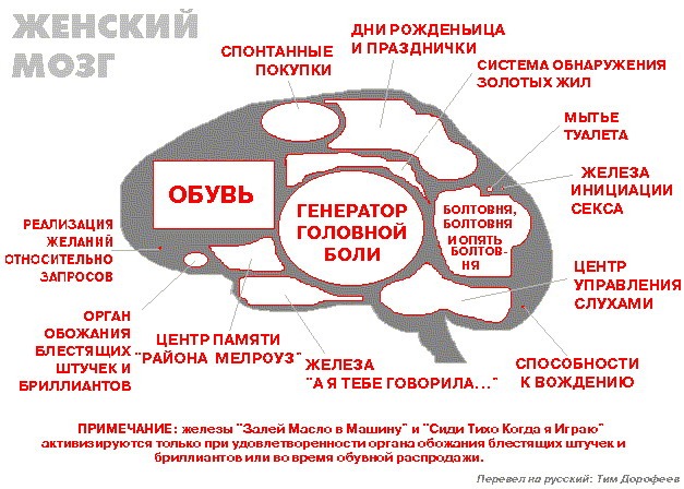 [woman_brain[4].jpg]