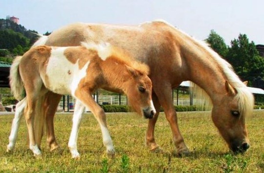 [clip_image012[4].jpg]