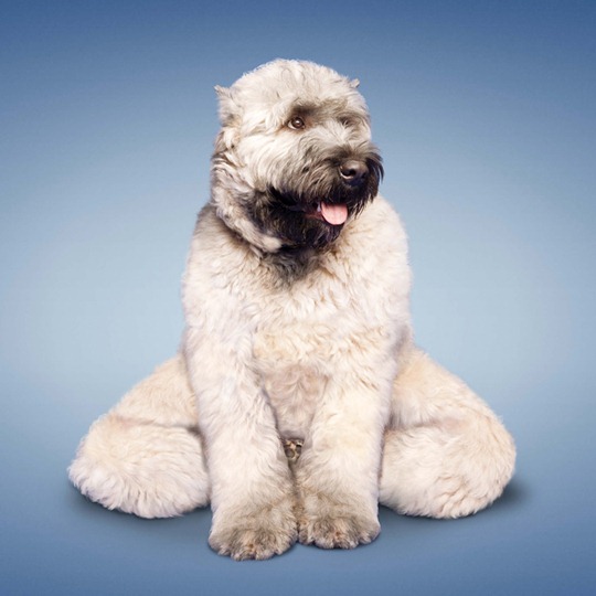 [clip_image005[5].jpg]