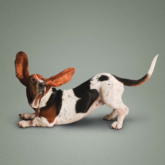 [clip_image006[5].jpg]