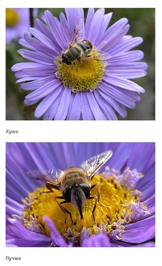 [clip_image014[6].jpg]