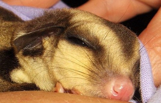 [clip_image005[4].jpg]