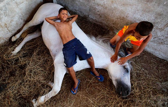 [clip_image002[4].jpg]