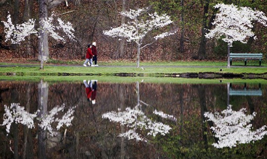 [clip_image011[4].jpg]