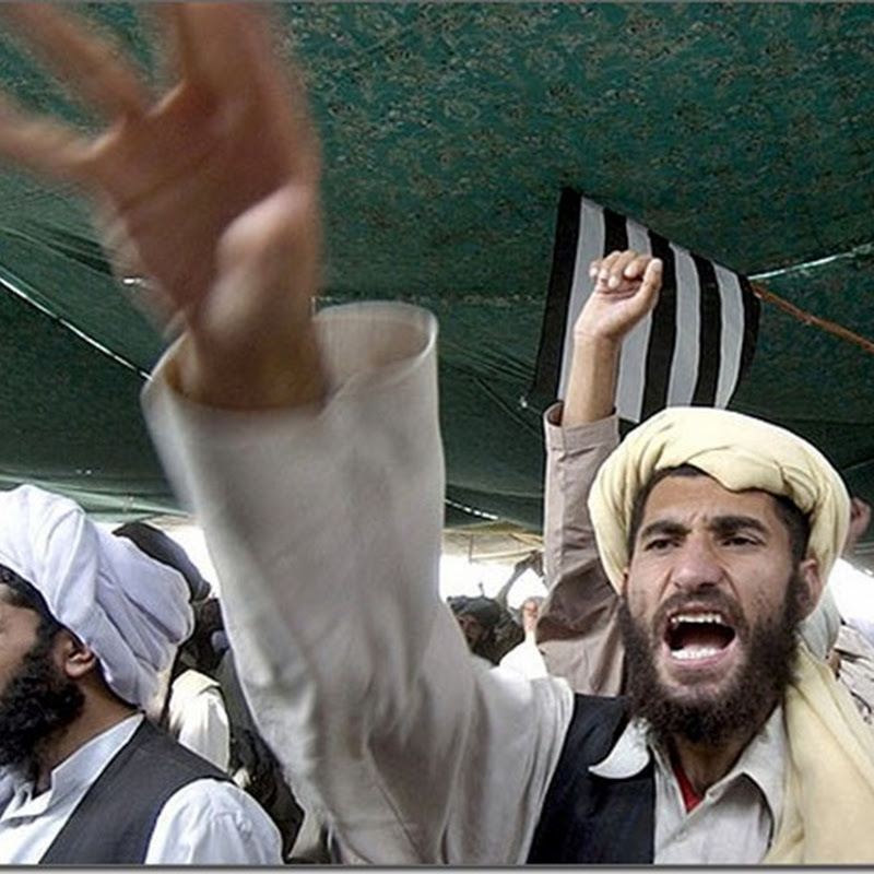«Аль-Каида» уйдёт, «Талибан» останется…