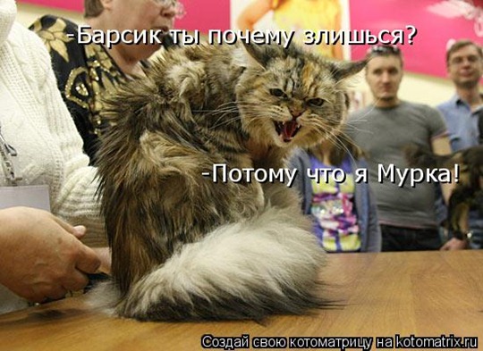 [clip_image014[4].jpg]