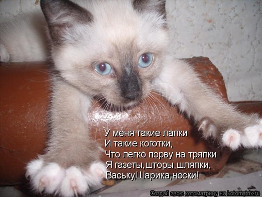 [clip_image020[4].jpg]