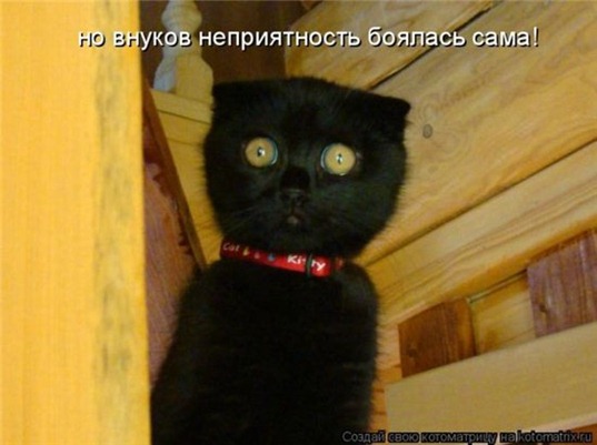 [clip_image076[4].jpg]