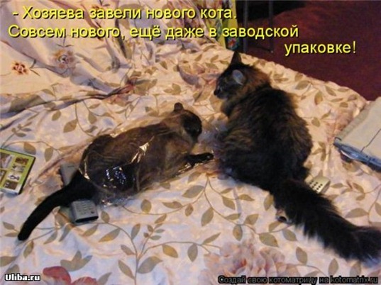 [clip_image090[4].jpg]