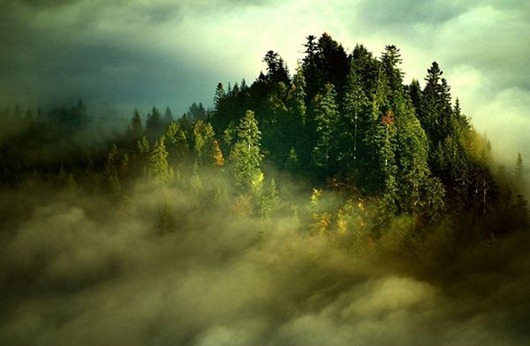 [without_photoshop_04[3].jpg]