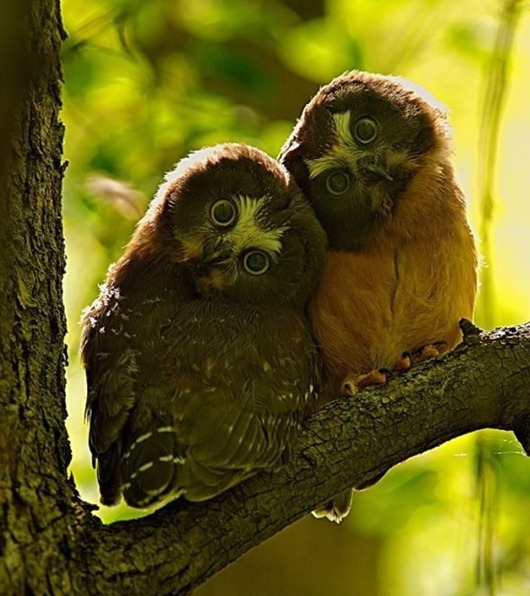 [clip_image013[4].jpg]