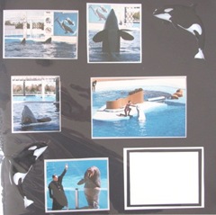 1986 Florida Seaworld orca stickers