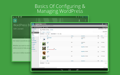 WordPress Basics poster 6