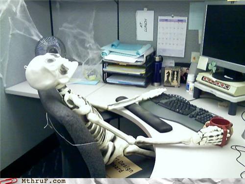 photo of a skeleton sitting at a desk