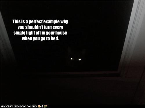 photo of a cats  eyes glowing in the dark and staring at you