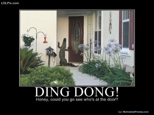photo of an alligator ringing a doorbell