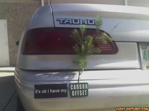 photo of a car with a green twig attached to it. Their idea of going green
